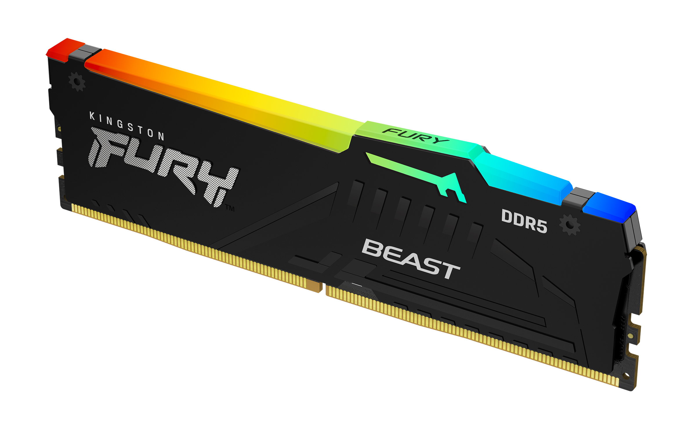 Kingston Technology FURY Beast RGB minnemodul 16 GB 1 x 16 GB DDR5 6000 MT/s 288-pin DIMM ECC