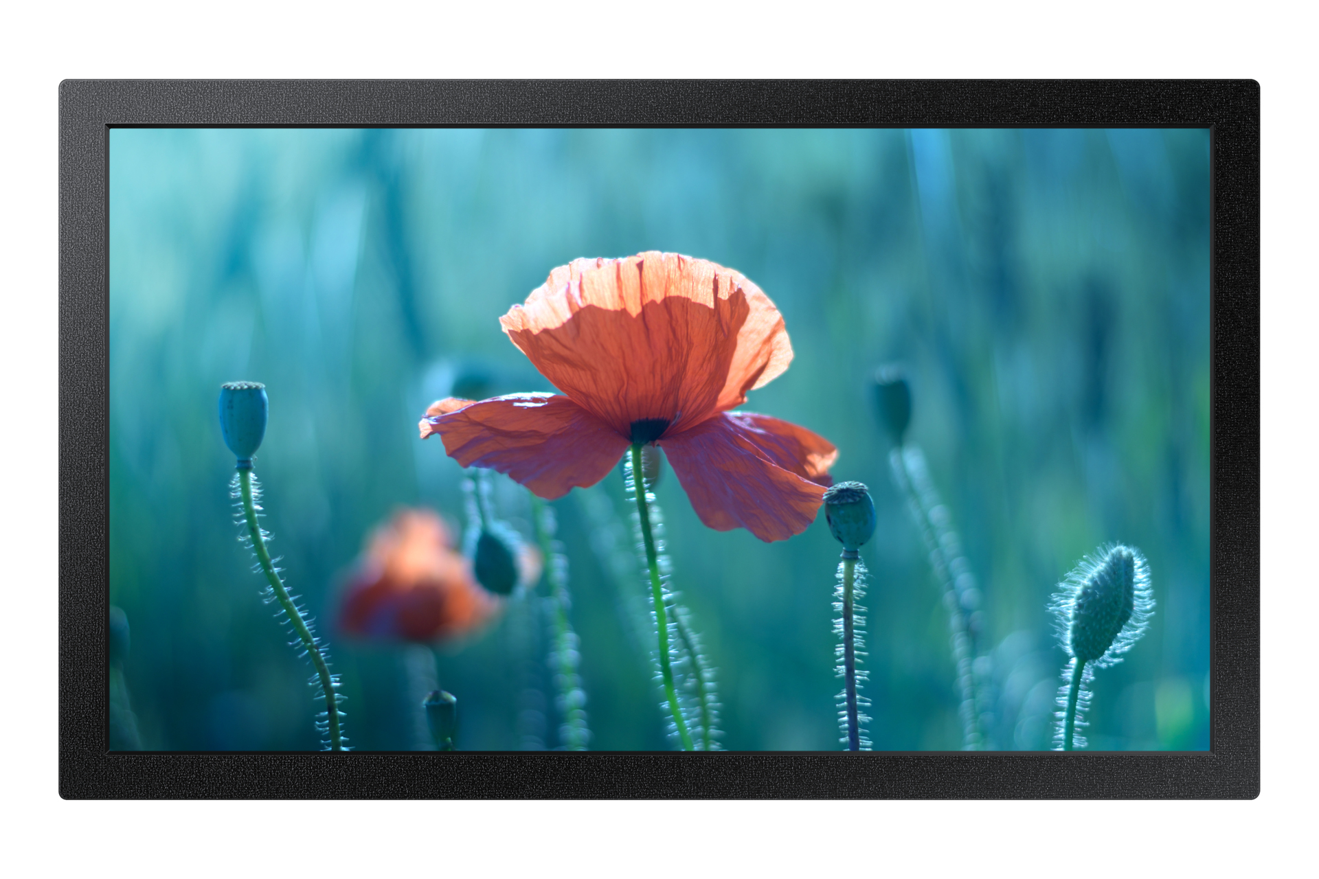 Samsung QB13C 33 cm (13") LCD Wi-Fi 500 cd/m² Full HD Svart 16/7