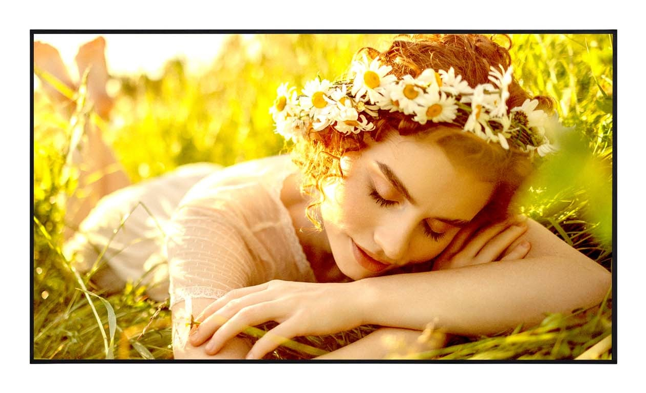 LG 55UL5Q-E informasjonsskjerm Digital skiltingstavle (flatskjerm) 139,7 cm (55") LED Wi-Fi 500 cd/m² 4K Ultra HD Svart WebOS 24/7