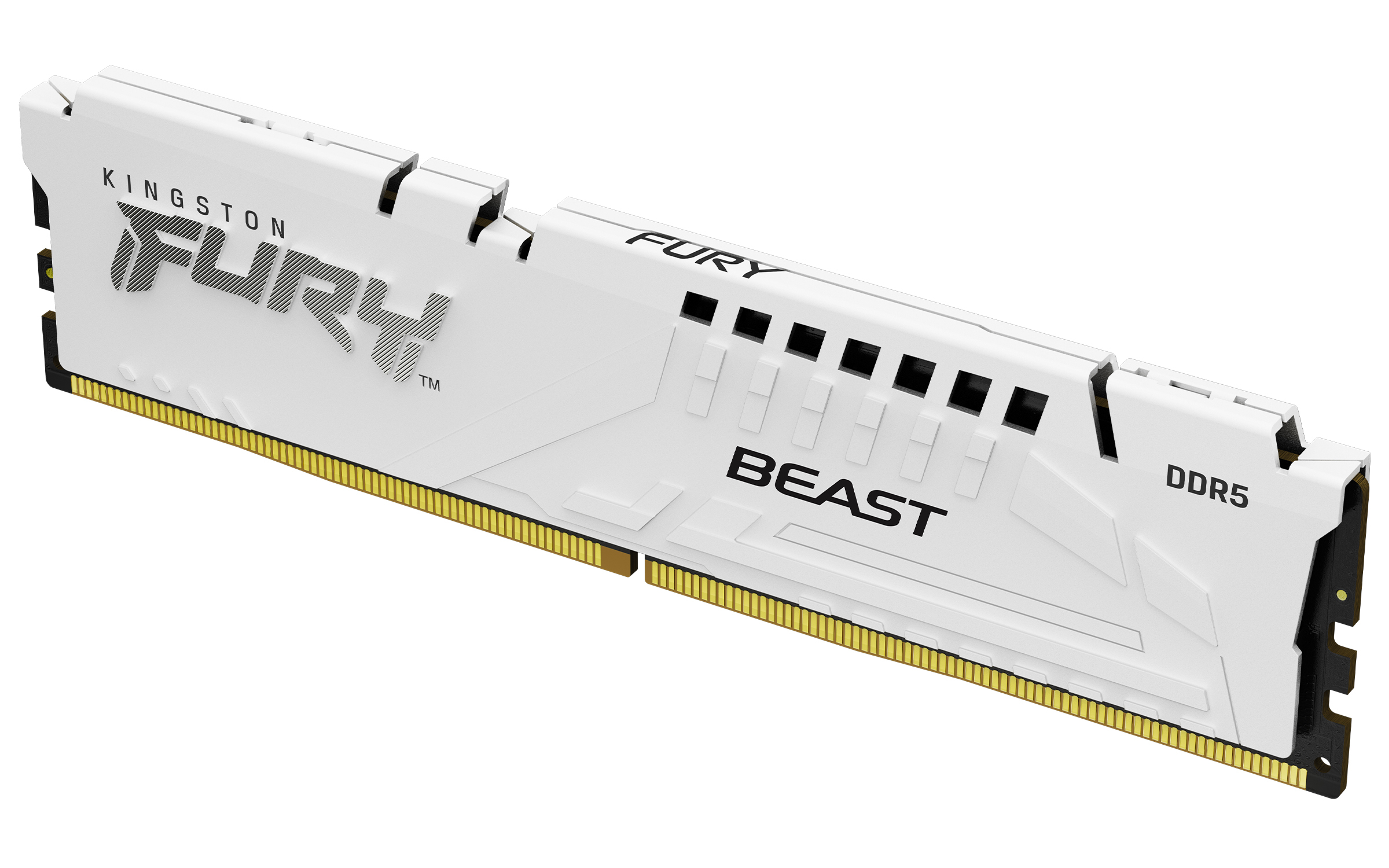 Kingston Technology FURY Beast minnemodul 16 GB 1 x 16 GB DDR5 6000 MT/s 288-pin DIMM