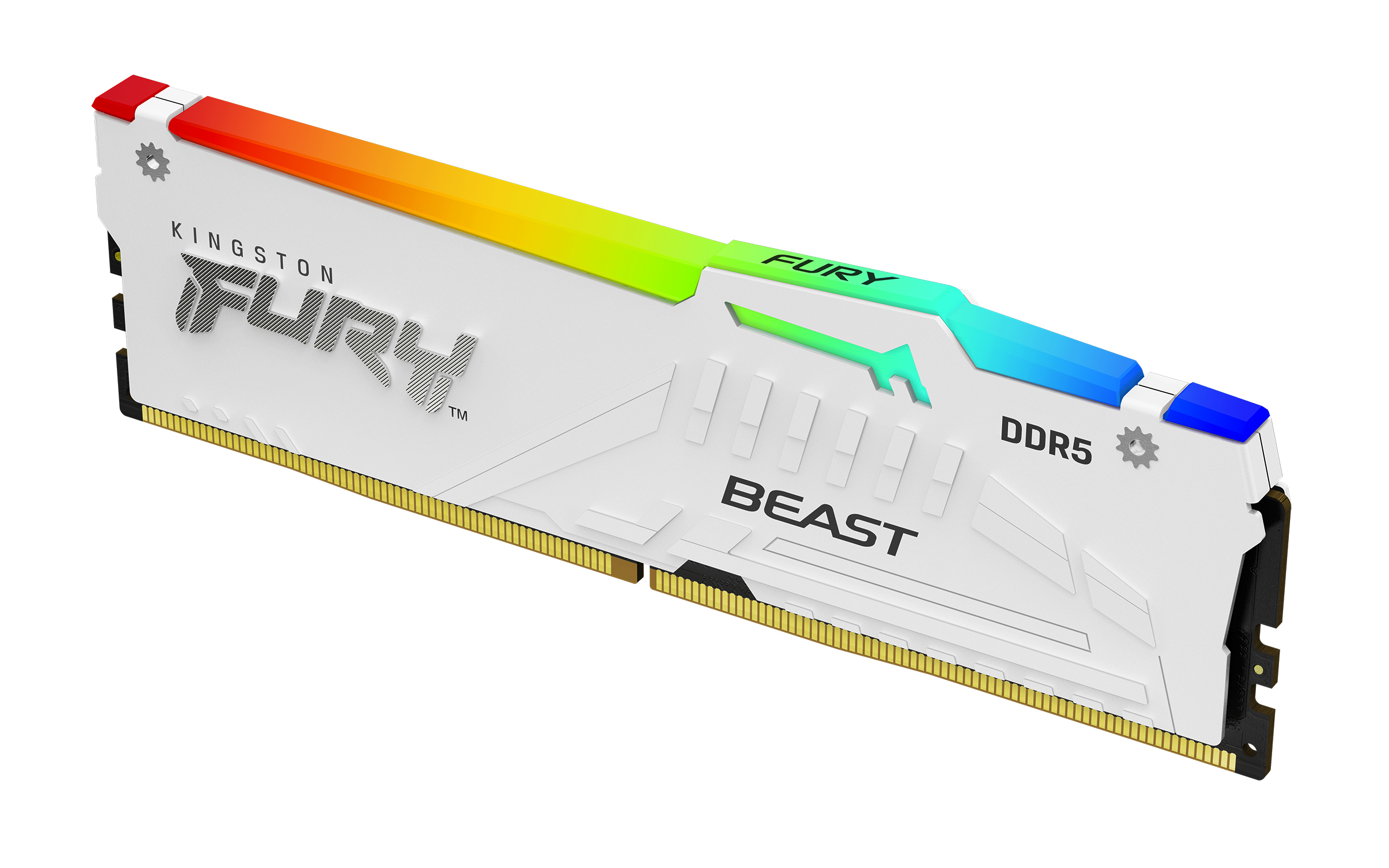 Kingston Technology FURY Beast RGB minnemodul 16 GB 1 x 16 GB DDR5 6000 MT/s 288-pin DIMM ECC