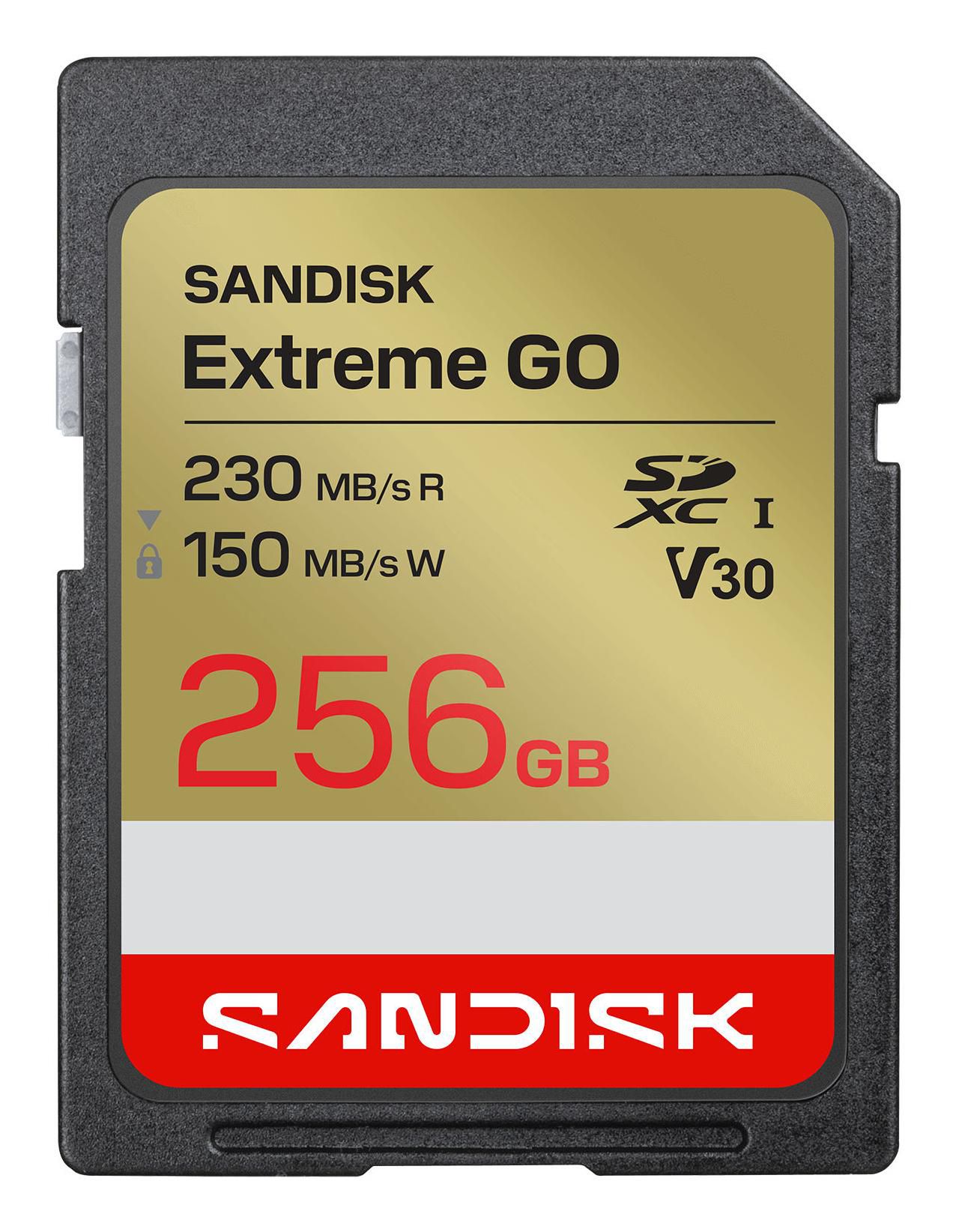 SANDISK Extreme Go SD 256GB UHS-I