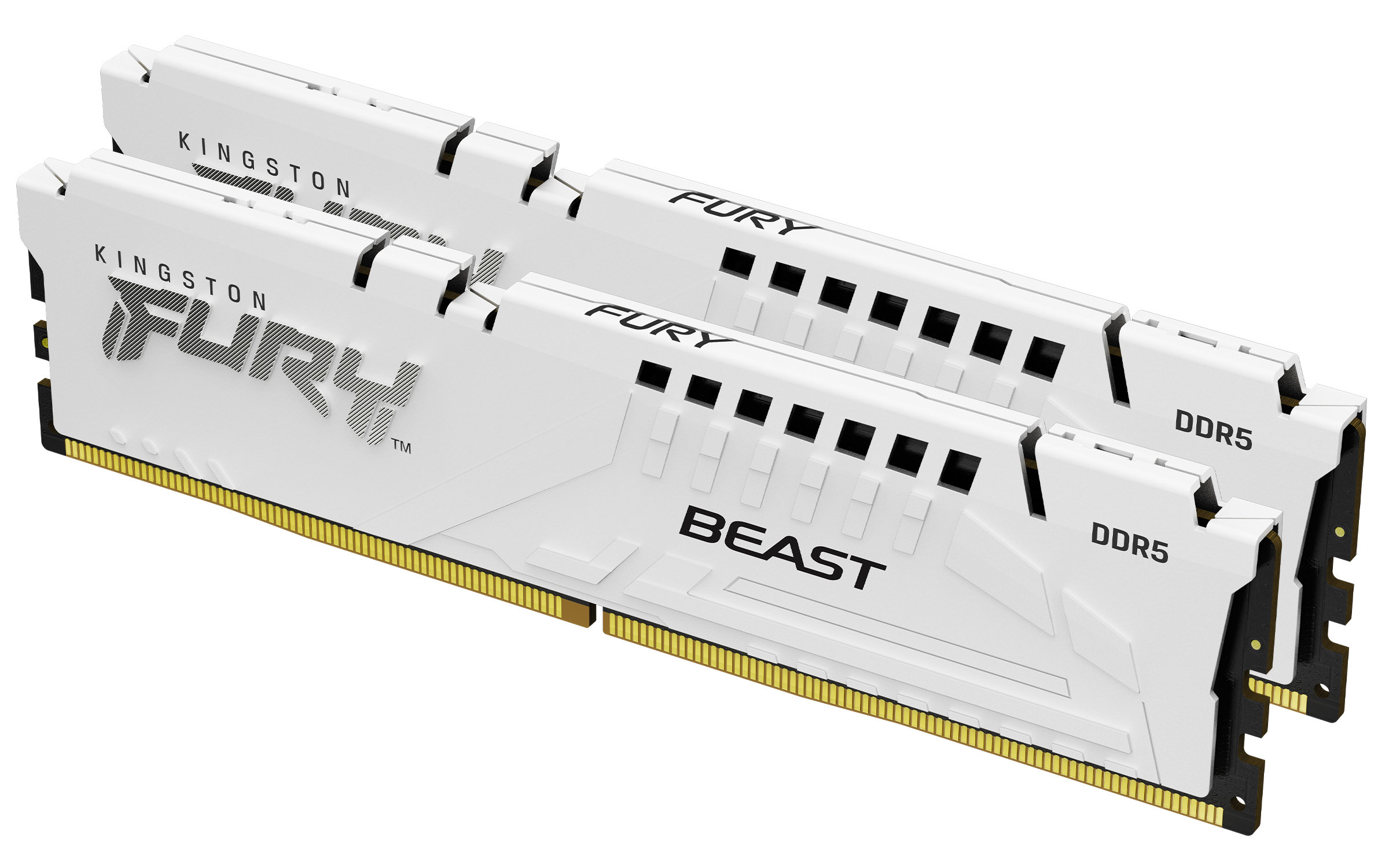 Kingston Technology FURY Beast minnemodul 32 GB 2 x 16 GB DDR5 5600 MT/s 288-pin DIMM